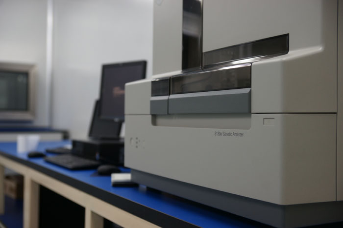 產前親子鑒定操作流程圖解釋